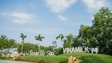 Không gian đậm chất “resort” của Trang trại bò sữa Vinamilk Tây Ninh - ngôi nhà mới của hơn 8000 cô bò, bê sữa
