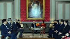 Chủ tịch Quốc hội Nguyễn Thị Kim Ngân hội kiến với Chủ tịch Thượng viện Bỉ Jacques Brotchi. Ảnh: Trọng Đức/TTXVN