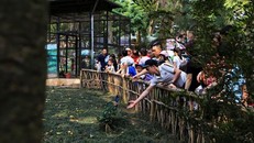 Vườn thú, công viên Hà Nội đông nghịt người trong ngày nghỉ lễ