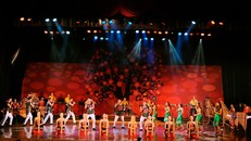 Tiết mục của một số đoàn nghệ thuật Việt Nam tham dự liên hoan.