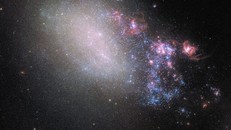 Thiên hà NGC 4485 tan tác, mất dạng xoắn ốc và trữ đầy những ngôi sao "sơ sinh" sau cuộc va chạm. - Ảnh: HUBBLE (NASA/ESA)