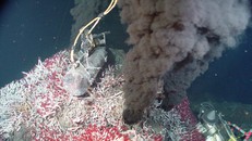 Trái đất đang dần khô cạn vì tự nuốt dần đại dương