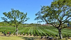 Khám phá những bảo tàng 'hot hit' nhất Jeju – Hàn Quốc