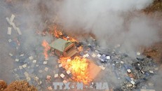 Đề nghị tiêu hủy thuốc lá lậu, không tái xuất