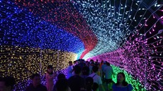 Lễ hội ánh sáng đầu tiên tại Quy Nhơn thu hút hàng vạn du khách