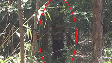 Hiện trường nơi phát hiện thi thể người đàn ông. (Ảnh: H.Đ)