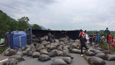 Cao tốc Nội Bài - Lào Cai ách tắc nhiều giờ vì lật xe chở chè