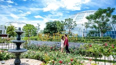 Vượt biển khám phá Vương quốc hoa hồng - Trải nghiệm mới cực ngọt ngào tại Nha Trang