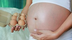 Những thực phẩm nào tốt cho phụ nữ mang thai?