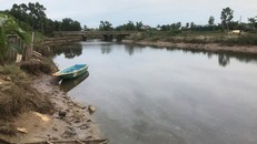 Người dân hốt hoảng vì cá sấu bất ngờ xuất hiện dưới sông ở Hà Tĩnh