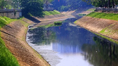 Hà Nội cần có chế tài ngăn ô nhiễm dầu mỡ cho sông, hồ