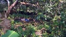 Hiện trường vụ việc - Ảnh: Tuổi Trẻ