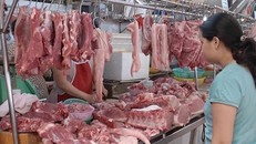 Giá thịt lợn trên thị trường đang tăng từng ngày do thiếu hụt nguồn cung thịt lợn trong nước.