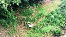 Hiện trường nơi phát hiện thi thể người đàn ông bên bờ sông Gianh sáng 30/10. - Ảnh: Infonet