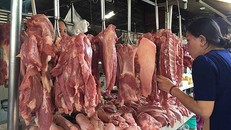 Lý giải nguyên nhân giá thịt lợn tăng cao kỷ lục