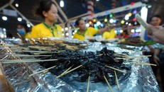 Du khách trải nghiệm món ăn từ côn trùng