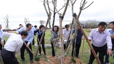 Bà Trương Thị Mai - Ủy viên Bộ Chính trị, Bí thư Trung ương Đảng, Trưởng ban Dân vận Trung ương cùng các đại biểu thực hiện nghi thức trồng cây của chương trình Quỹ 1 triệu cây xanh cho Việt Nam.