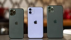 Một tháng về Việt Nam, iPhone 11 chính hãng đã giảm giá