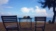 Giải mã lý do Thanh Hóa hút khách miền Nam du lịch mùa đông