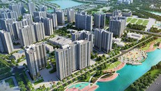 Soi sức khỏe cổ phiếu bất động sản: Khi nội lực lên tiếng