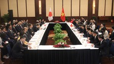 Chủ tịch nhóm Nghị sỹ hữu nghị Việt - Nhật Phạm Minh Chính tiếp ngài Nikai Toshihiro. - Ảnh: VGP/Lưu Hương