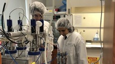 Các nhà nghiên cứu theo dõi quá trình nuôi virus. - Ảnh: BBC.