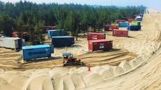 Phạt 70 triệu đồng đối với doanh nghiệp đặt 130 container trong rừng phòng hộ