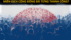 Có đến 100.000 người chết nếu dựa vào 'miễn dịch cộng đồng' chống Covid-19