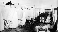 Trận dịch bệnh nào trong lịch sử đã khiến hơn 200.000 người Việt mất mạng?