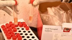 Ảnh minh họa. - Nguồn: The Hindu