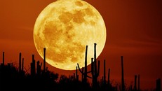 Siêu trăng sẽ xuất hiện vào tối thứ Năm tuần này. - Ảnh minh họa.