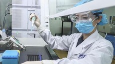 Vaccine bất hoạt vô hiệu hóa 10 chủng virus corona