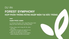 ‘Hạnh Phúc Xanh’ kêu gọi cộng đồng cùng chung tay trồng rừng ngập mặn tại Sóc Trăng