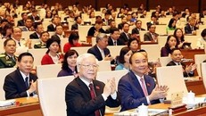 Vang xa, vươn xa, Việt Nam