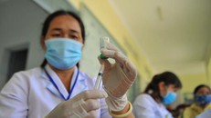 Trường hợp đầu tiên mắc bạch hầu ở Quảng Trị chưa rõ nguồn gốc lây