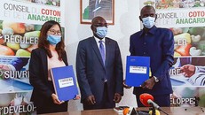 T&T Group tiếp tục lập kỷ lục sau thương vụ thu mua điều lớn nhất thế giới