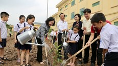 Vinamilk và hành trình 9 năm trồng cây góp phần chống biến đổi khí hậu, ô nhiễm môi trường 