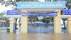 Học sinh Quảng Ngãi được nghỉ học ngày 12/10 đề phòng mưa lũ