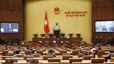 Quang cảnh một phiên họp trong đợt họp thứ nhất của Kỳ họp thứ 10. (Ảnh: Dương Giang/TTXVN)