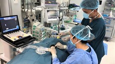 Vinmec công bố nghiên cứu đột phá về giảm đau trong mổ tim hở trẻ em