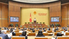 Quốc hội tiếp tục tiến hành chất vấn; phê chuẩn bổ nhiệm nhân sự