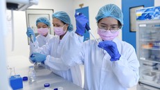Nghiên cứu sản xuất vắcxin chống COVID-19 tại Công ty cổ phần công nghệ sinh học dược Nanogen và lộ trình thử nghiệm vắcxin - Ảnh: Tuổi Trẻ