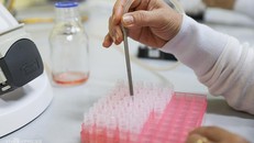 Biến thể nCoV Anh lây nhanh thế nào?