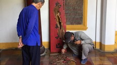 Nhiều di tích ở Hội An bị mối mọt xâm hại nghiêm trọng