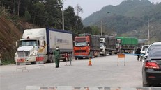 Xe nông sản chờ thông quan qua đường chuyên dụng vận tải hàng hóa cửa khẩu Tân Thanh-Pò Chài.