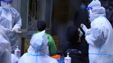 Bến Tre phát hiện số mắc biến chủng Omicron đang phổ biến 