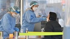 WHO: Hơn 2/3 dân số thế giới đã có kháng thể COVID-19