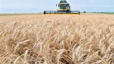 Xung đột Nga-Ukraine: Những hệ lụy khôn lường với kinh tế toàn cầu