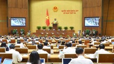 Thông qua Luật sửa đổi, bổ sung một số điều của Luật Sở hữu trí tuệ