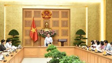 Nghiên cứu phương án giảm các loại thuế để hỗ trợ cho người dân, doanh nghiệp